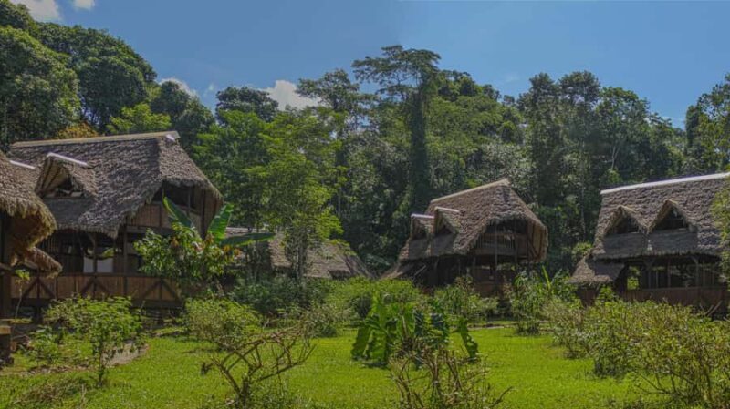 Manu Rainforest Tour 6 Days - A Detailed Look at the Manu Rainforest Tour 6 Days