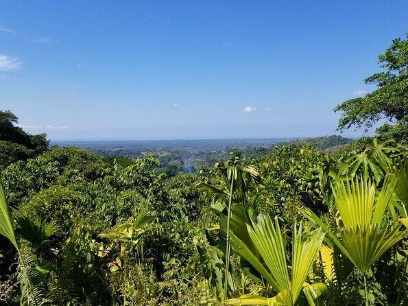 Manuel Antonio ATV Off Road Rainforest & Waterfalls Adventure - Key Points