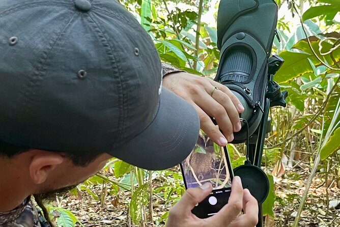 Manuel Antonio Esquipulas Birdwatching Tour - Final Thoughts