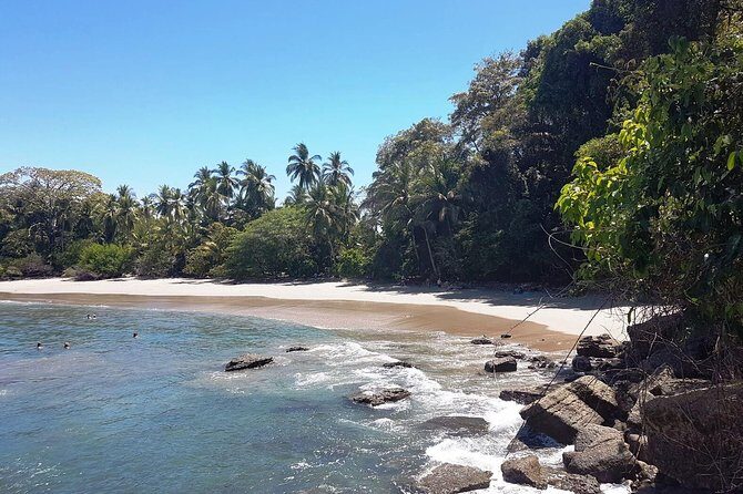 Manuel Antonio National Park; Beach & Sightseeing Day Trip from San Jose - Considerations for Travelers