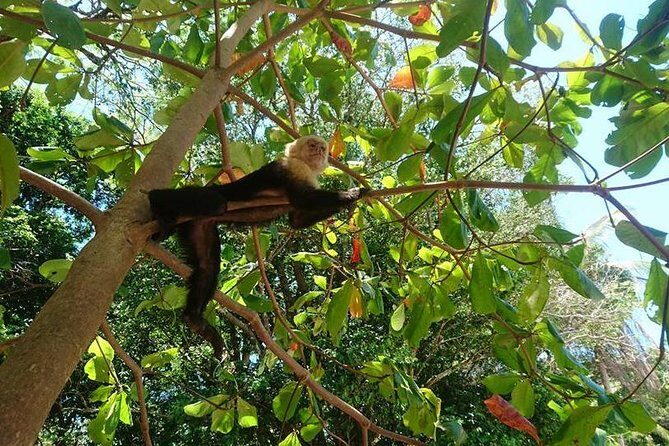 Manuel Antonio National Park - The Sum Up
