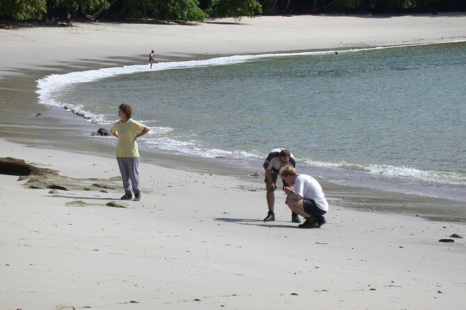 Manuel Antonio National Park Full-Day Adventure from San Jose - Authenticity and Experience