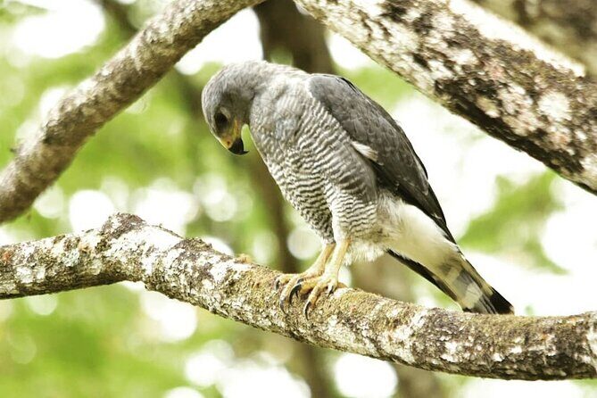 Manuel Antonio National Park *Group tour/Park ticket NOT included - Who Will Enjoy This Tour?