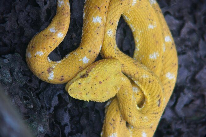 Manuel Antonio National Park Guided Tour - The Itinerary and What to Expect