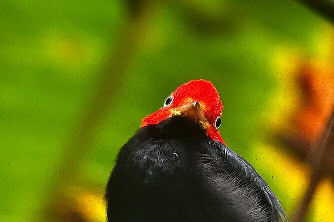 Manuel Antonio National Park Guided Tour - Who Should Book This Tour?