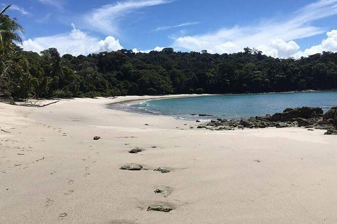 Manuel Antonio National Park Guided Tour - A Deep Dive into the Tour Experience