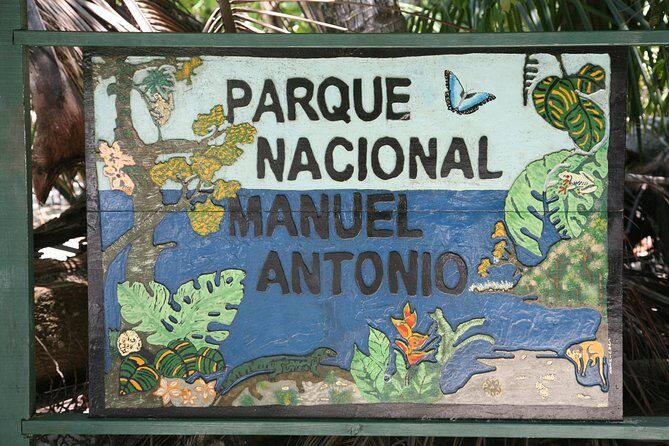 Manuel Antonio National Park Guided Tour - What To Expect from the Manuel Antonio National Park Guided Tour