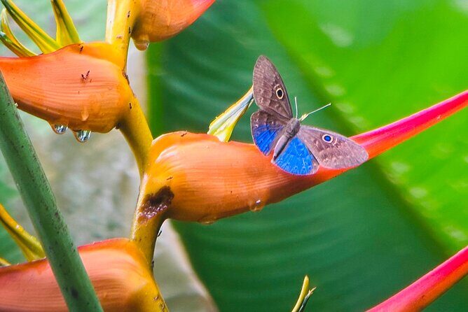 Manuel Antonio National Park Guided Tour ENTRY FEE INCLUDED - Who Is This Tour Best For?