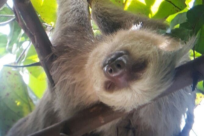 Manuel Antonio National Park Hiking Guided Tour - Final Thoughts