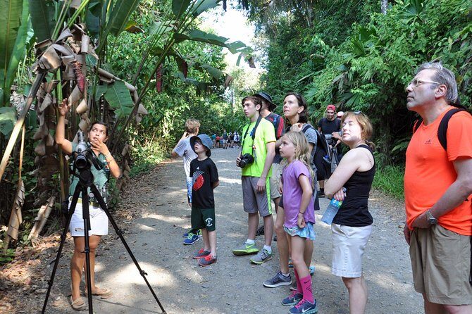 Manuel Antonio National Park Hiking Tour - The Experience: Pros and Cons