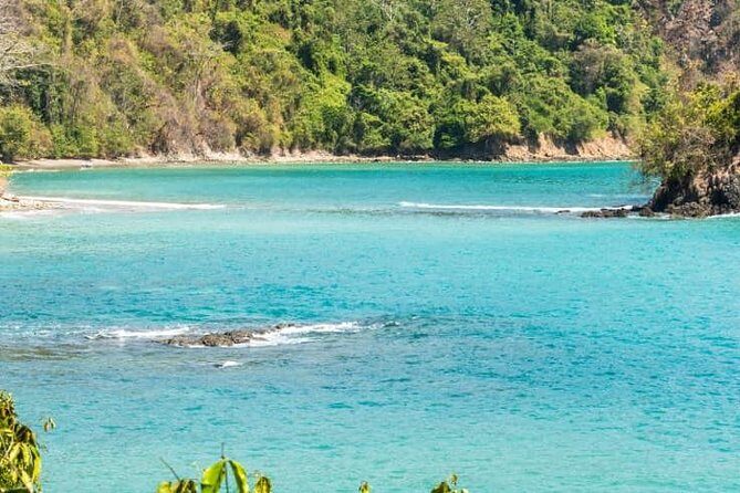 Manuel Antonio National Park one day tour from San Jose - In-Depth Look at the Manuel Antonio Day Tour
