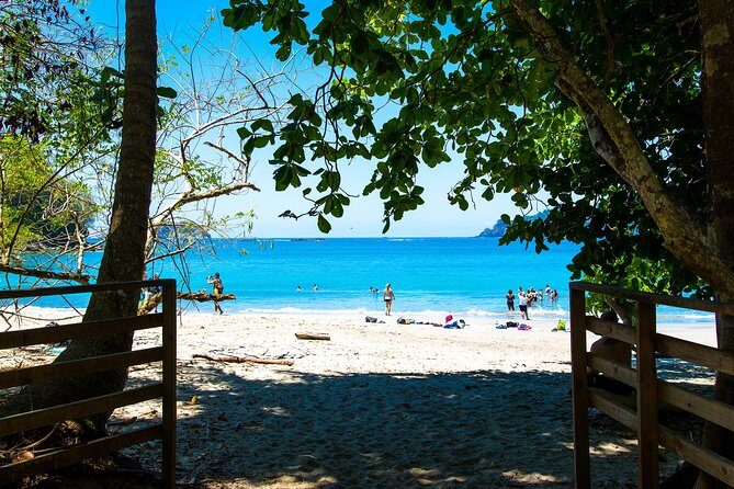 Manuel Antonio National park, PRIVATE day tour from jaco - What to Expect from the Tour