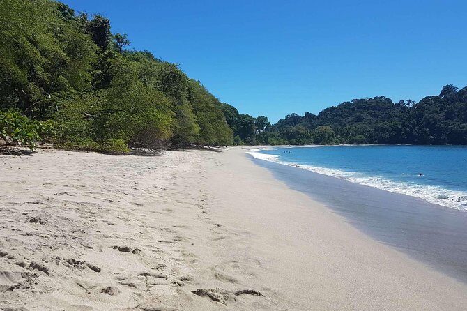 Manuel Antonio National Park Sightseeing and Wildlife Day Tour from San Jose - What Travelers Say