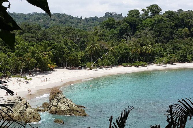 Manuel Antonio National Park Sightseeing and Wildlife Day Tour from San Jose - A Practical Guide to the Manuel Antonio Day Tour