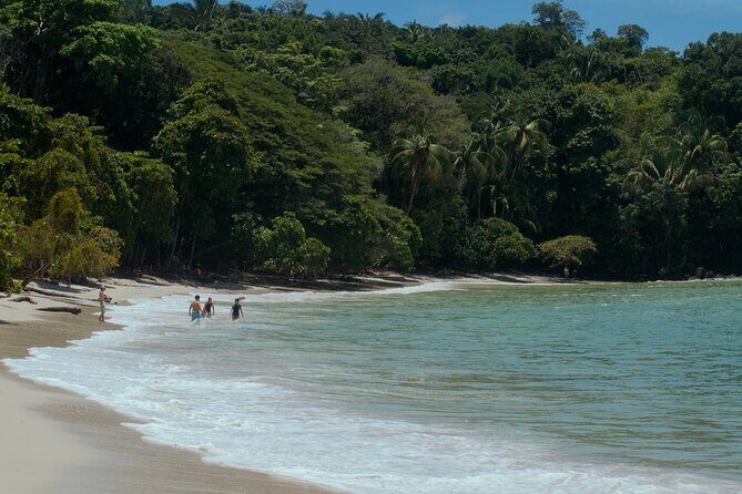 Manuel Antonio National Park Tour - Key Points
