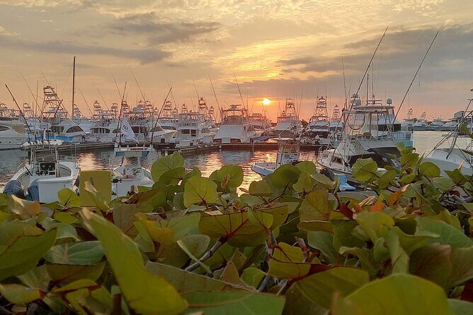 Manuel Antonio Quepos Hotels to SJO Airport area Private Transfer - Key Points