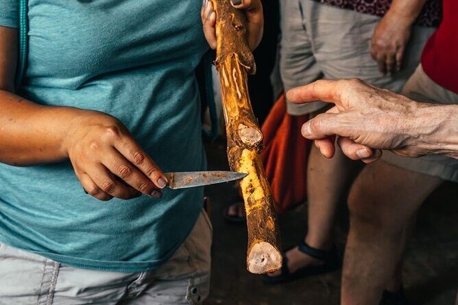 Manuel Antonio Villa Vanilla Spice Tour - Key Points