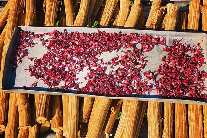 Manuel Antonio Villa Vanilla Spice Tour - The Sum Up: Is It Worth It?