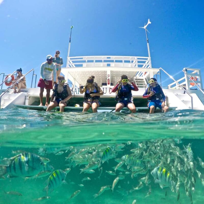 Maracajau Parrachos Reef: Mask and Snorkel swim adventure - An Authentic Day in Brazil’s “Caribbean of Brazil”