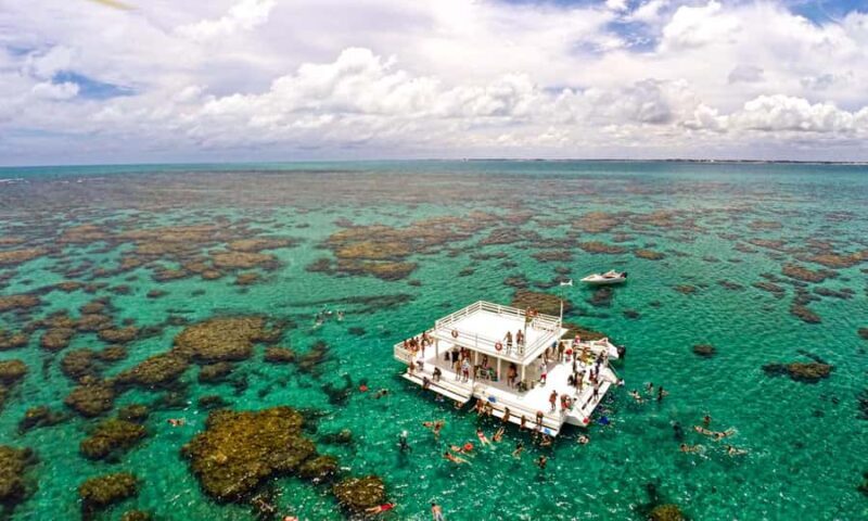 Maracajau Parrachos Reef: Mask and Snorkel swim adventure - Key Points