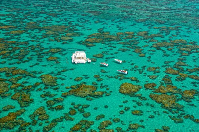 Maracajau Parrachos Reef: Mask and Snorkel swim adventure - Beach Time and Optional Activities