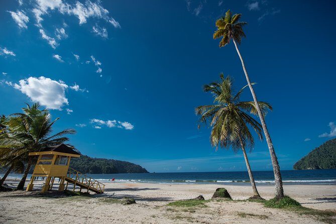 Maracas Beach Trip - A Deep Dive into the Maracas Beach Trip