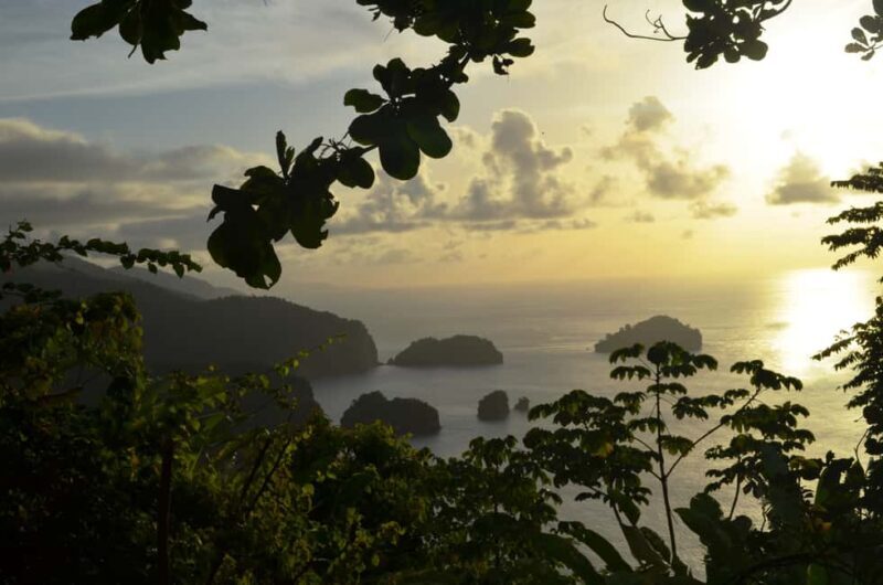 Maracas: Day Trip to Maracas Beach from Port of Spain - A Detailed Look at the Maracas Beach Day Trip