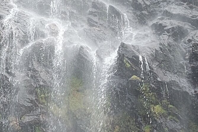 Maracas Waterfall Hike - Who Will Love This Tour?