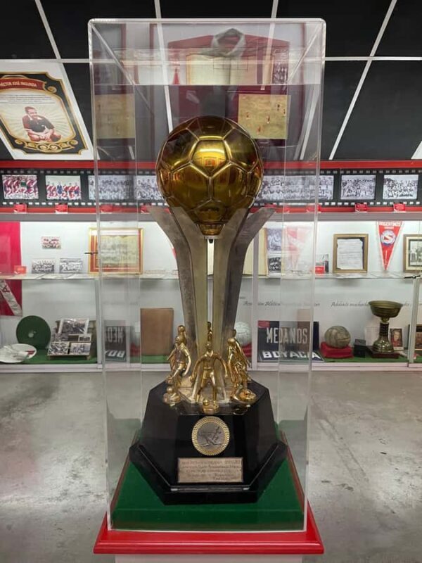 Maradona Tour: Hightlights, Casa de D10S & Chinese Barrio - Chinatown & the Maradona Café