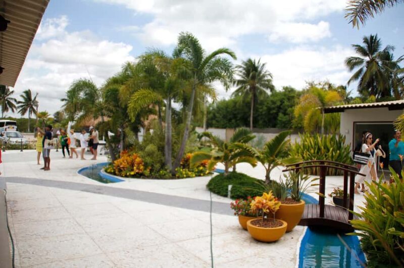 Maragogi Beach and Gales Reef Full-Day Tour from Maceio - Key Points