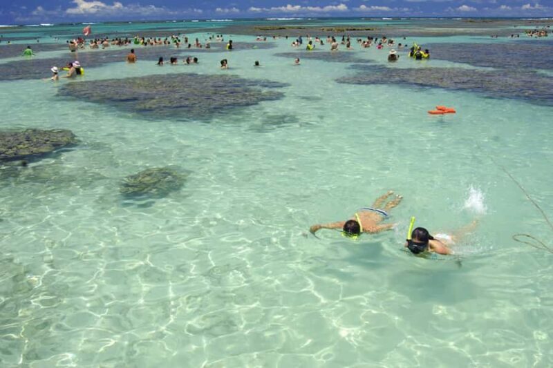 Maragogi Beach and Gales Reef Full-Day Tour from Maceio - The Complete Review