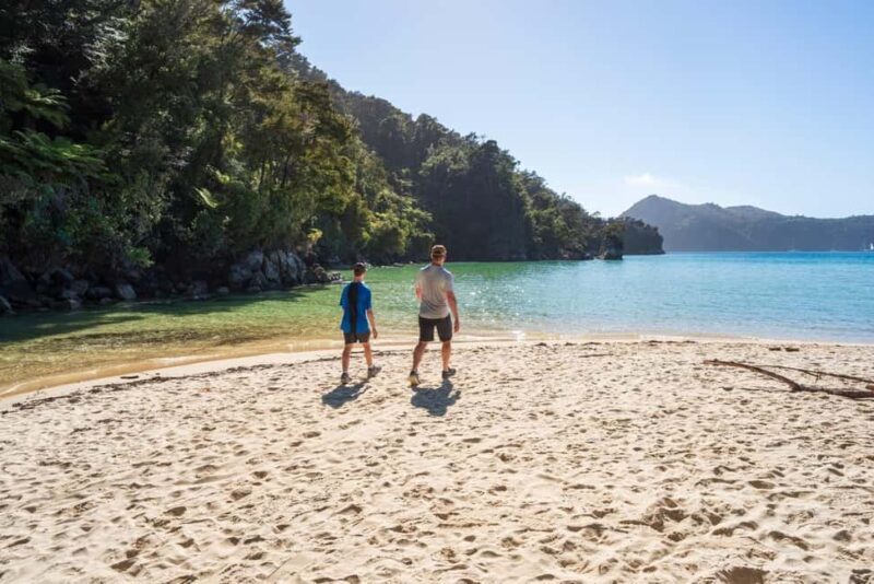 Marahau: Abel Tasman Kayaks Kayak and Walk - A Detailed Look at the Abel Tasman Kayaks Kayak and Walk Tour