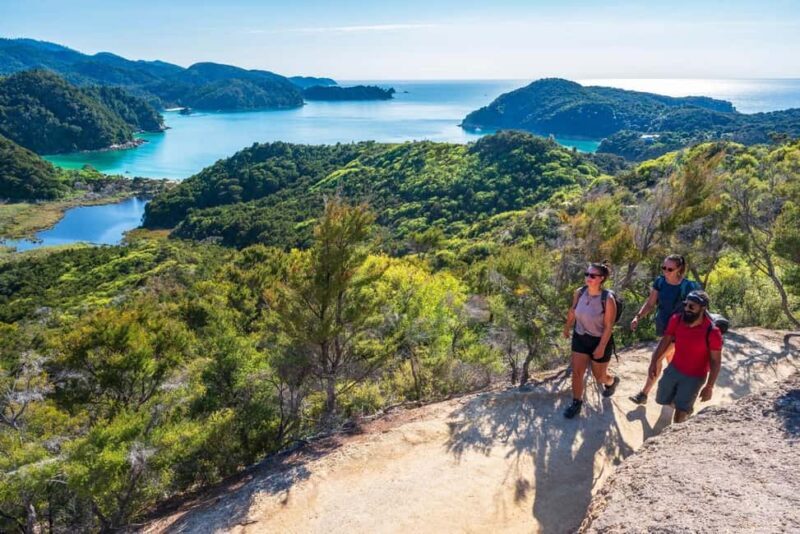 Marahau: Abel Tasman Kayaks Kayak and Walk - Final Thoughts