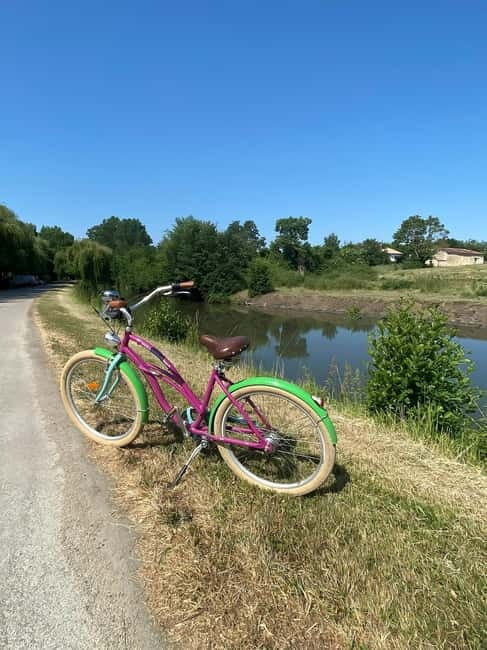 Marais Poitevin: Bike trip in the Green Venice - Marais Poitevin: Bike trip in the Green Venice — A Perfect Ride Through France’s Lush Canals