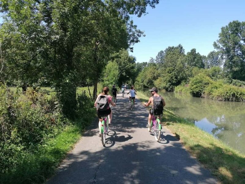 Marais Poitevin: Bike trip in the Green Venice - Who Will Love This Tour?
