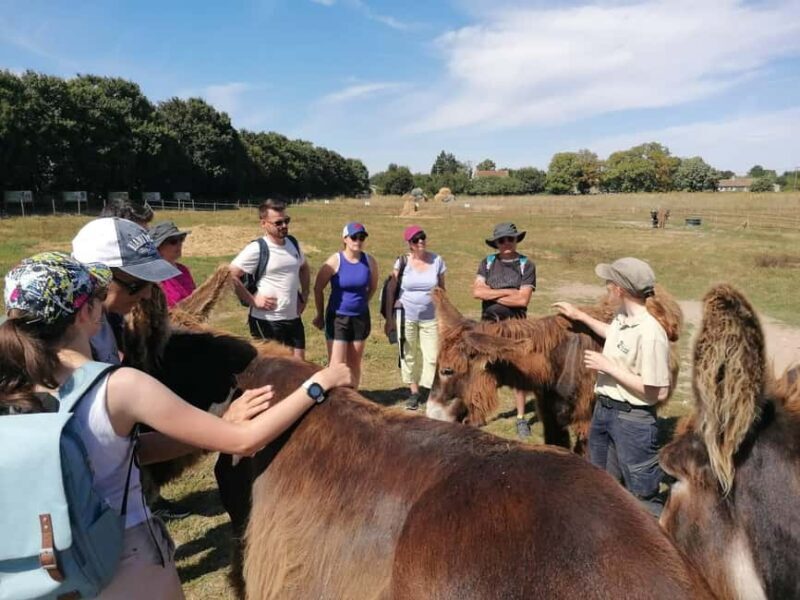 Marais Poitevin: Discovery day in the footsteps of the Baudet - FAQ