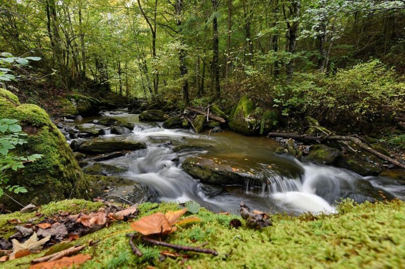 Maramure Mountain Trail - FAQ