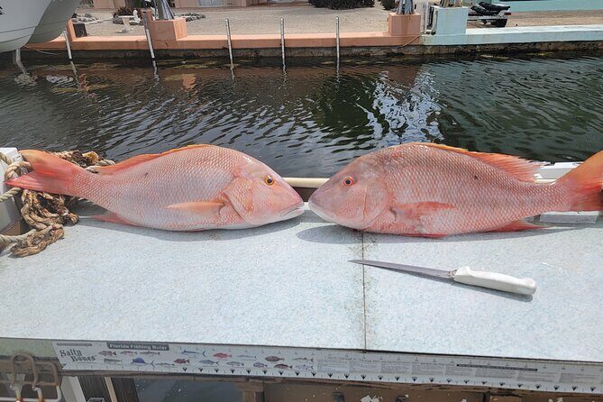 Marathon Florida Keys Fishing Experience - Exploring the Florida Keys Fishing Experience with Wet Tails Charters
