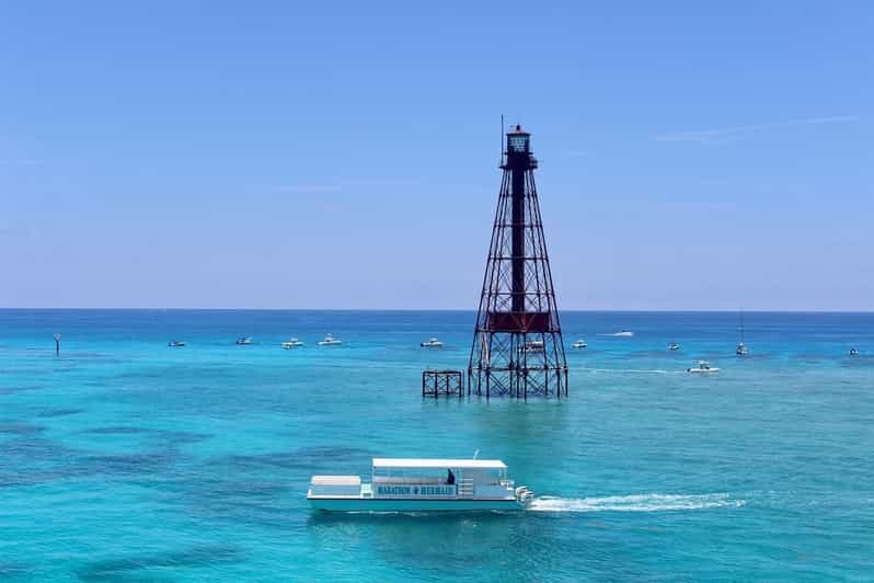 Marathon: Snorkeling Adventure by Boat at Sombrero Reef - The Snorkeling Experience