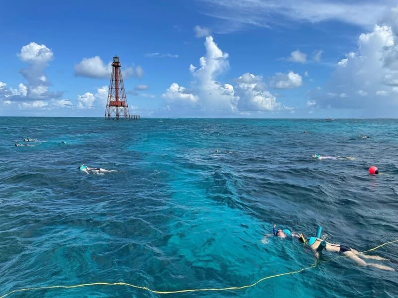Marathon: Snorkeling Adventure by Boat at Sombrero Reef - Value for Money