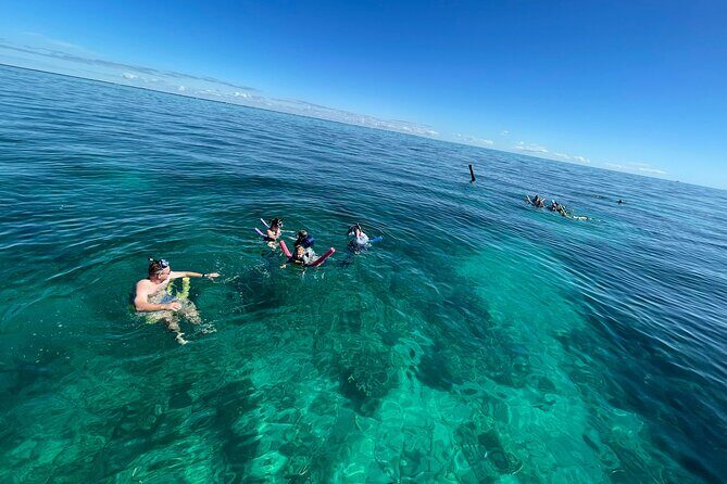 Marathon Sombrero Reef Snorkeling and Sandbar Swim - Frequently Asked Questions