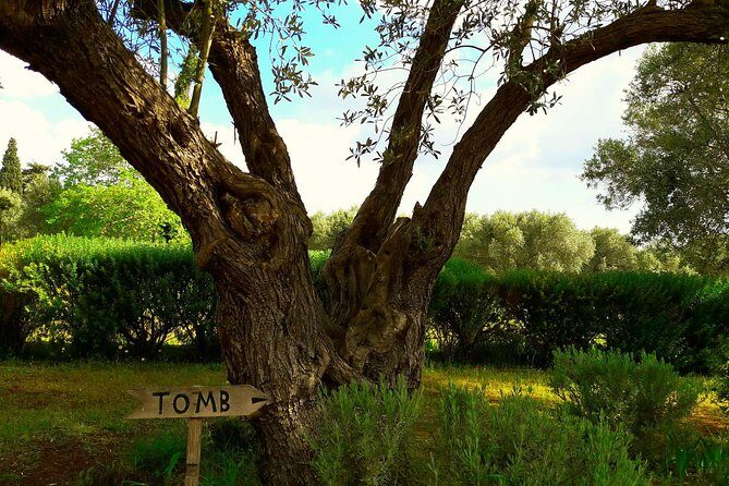 Marathon, Thermopylae/ Herodotus History private tour (9 hours) - Who Will Enjoy This Tour?