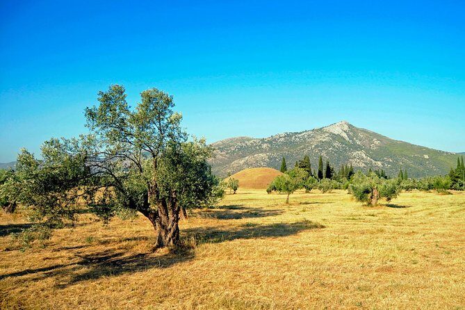 Marathon, Thermopylae, Thebes/Plataea, Herodotus Private Tour 10h - The Value for Your Money