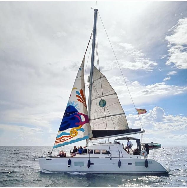 Marbella: Group Dolphin Watching Catamaran Tour with Drinks - An In-Depth Look at the Marbella Catamaran Tour