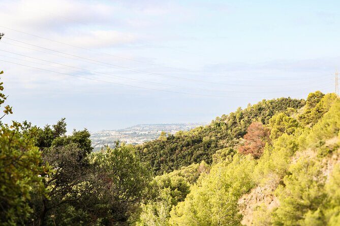 Marbella Guided Hiking and Foraging Adventure - A Comprehensive Look at the Marbella Guided Hiking and Foraging Adventure