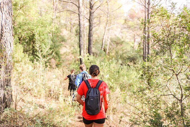Marbella Guided Hiking and Foraging Adventure - A Closer Look at the Marbella Guided Hiking and Foraging Adventure
