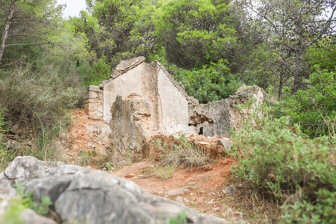 Marbella Guided Hiking and Foraging Adventure - Who Will Appreciate This Tour?