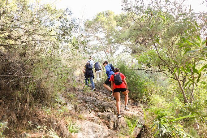 Marbella Guided Hiking and Foraging Adventure - Final Words