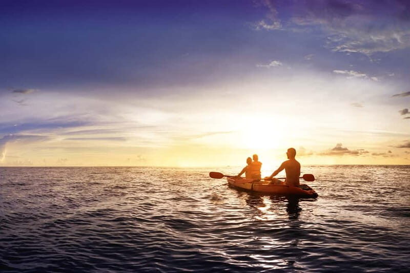 Marbella: Kayak Tour - Who Will Love This Tour?