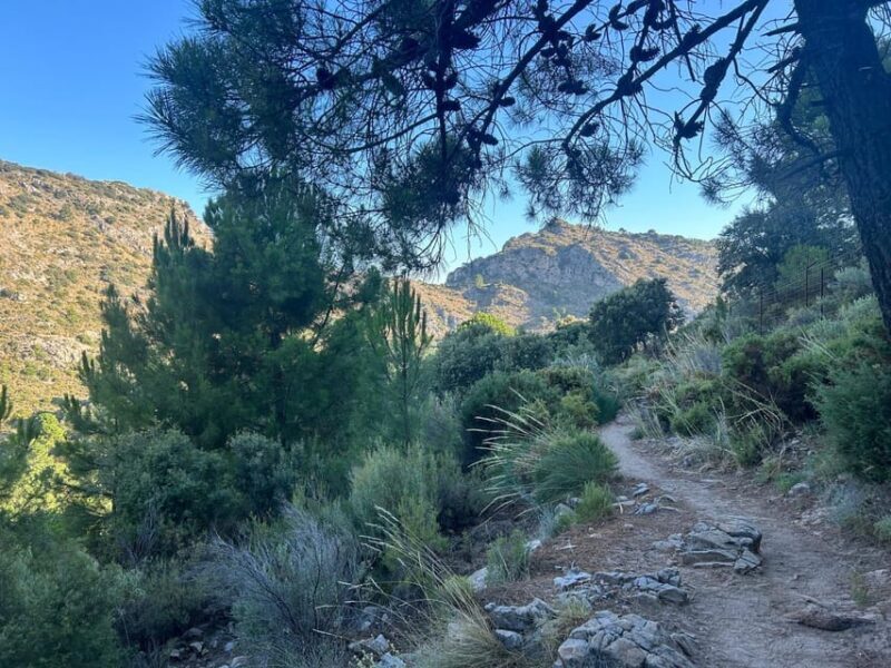 Marbella: "La Concha" mountain tour including snack and drink - Key Points